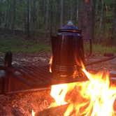 Review photo of Elkmont Campground — Great Smoky Mountains National Park by Elliot Q., April 26, 2017