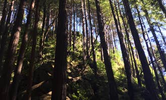 Camping near Nacimiento Campground: Limekiln State Park - TEMPORARILY CLOSED, Lucia, California
