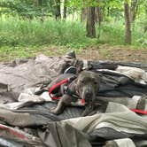 Review photo of Lake Waveland Park by Sydni T., April 26, 2017
