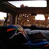 Review photo of Black Rock Campground — Joshua Tree National Park by Carly M., April 26, 2017