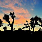 Review photo of Black Rock Campground — Joshua Tree National Park by Carly M., April 26, 2017