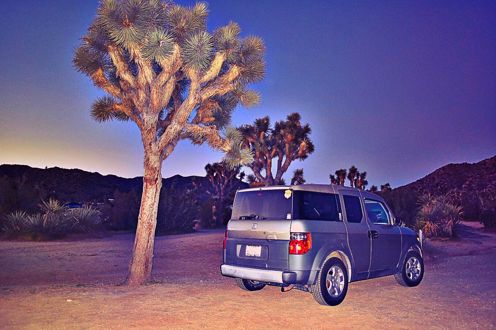 Carly M.'s photo of rv camping at Black Rock Campground — Joshua Tree National Park near Amboy, CA