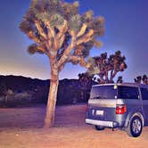 Review photo of Black Rock Campground — Joshua Tree National Park by Carly M., April 26, 2017