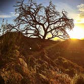 Review photo of Black Rock Campground — Joshua Tree National Park by Carly M., April 26, 2017