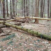 Review photo of Findley State Park Campground by Keith L., April 26, 2017