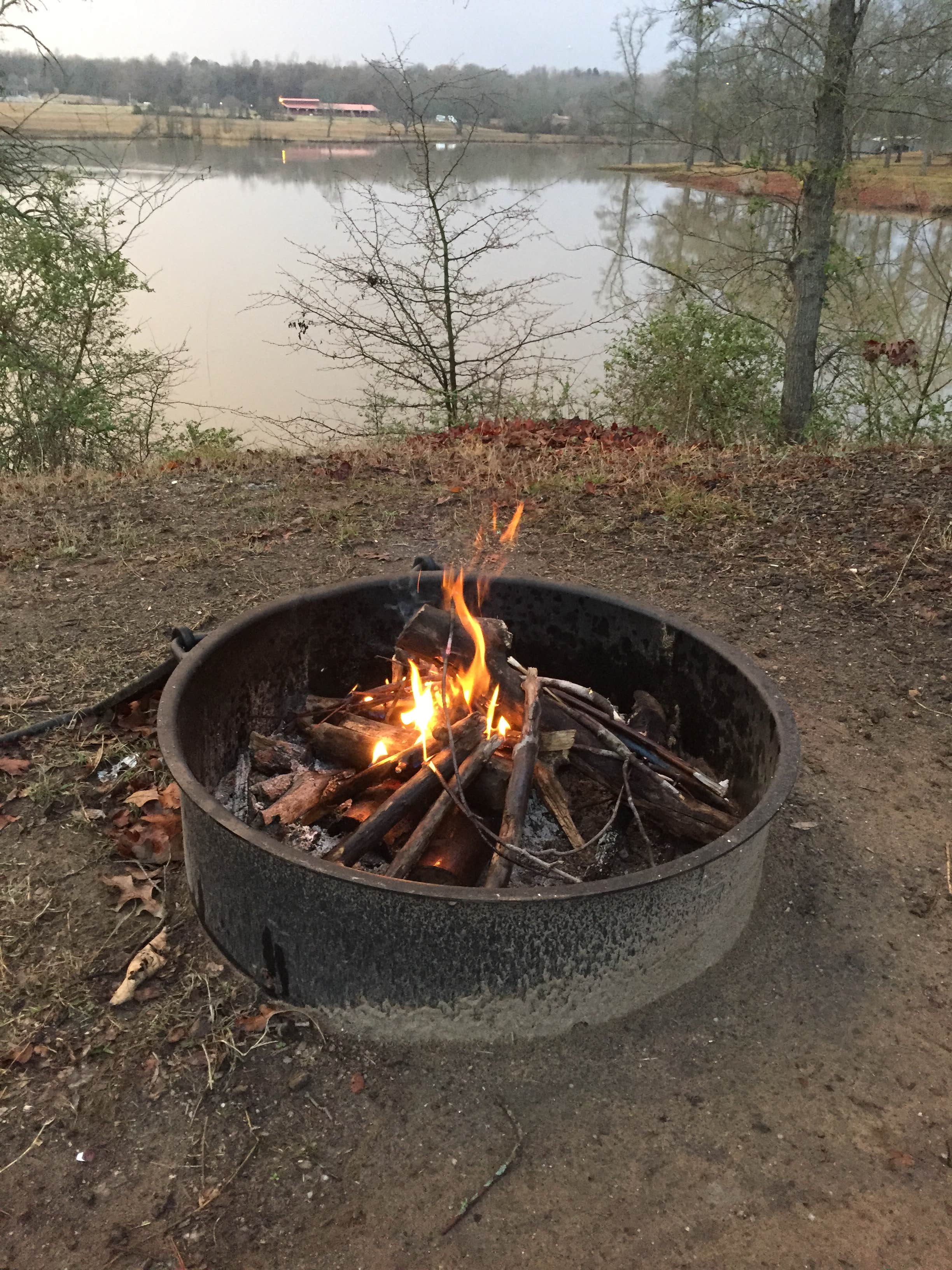 Michelle W.'s photo at Springhill near Van Buren, AR