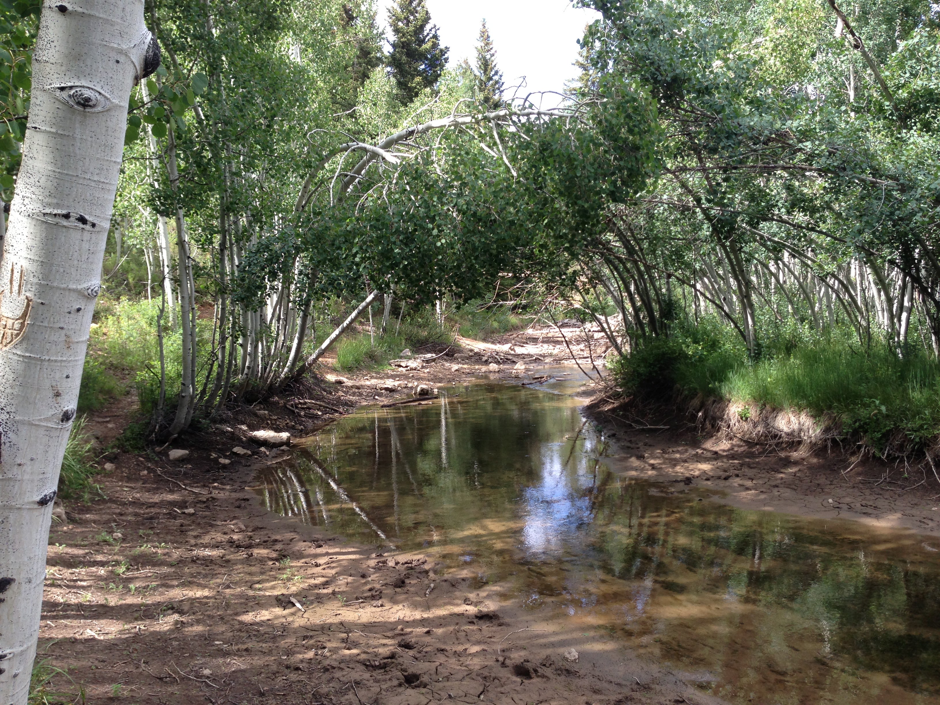 Camper submitted image from Duck Creek - 2