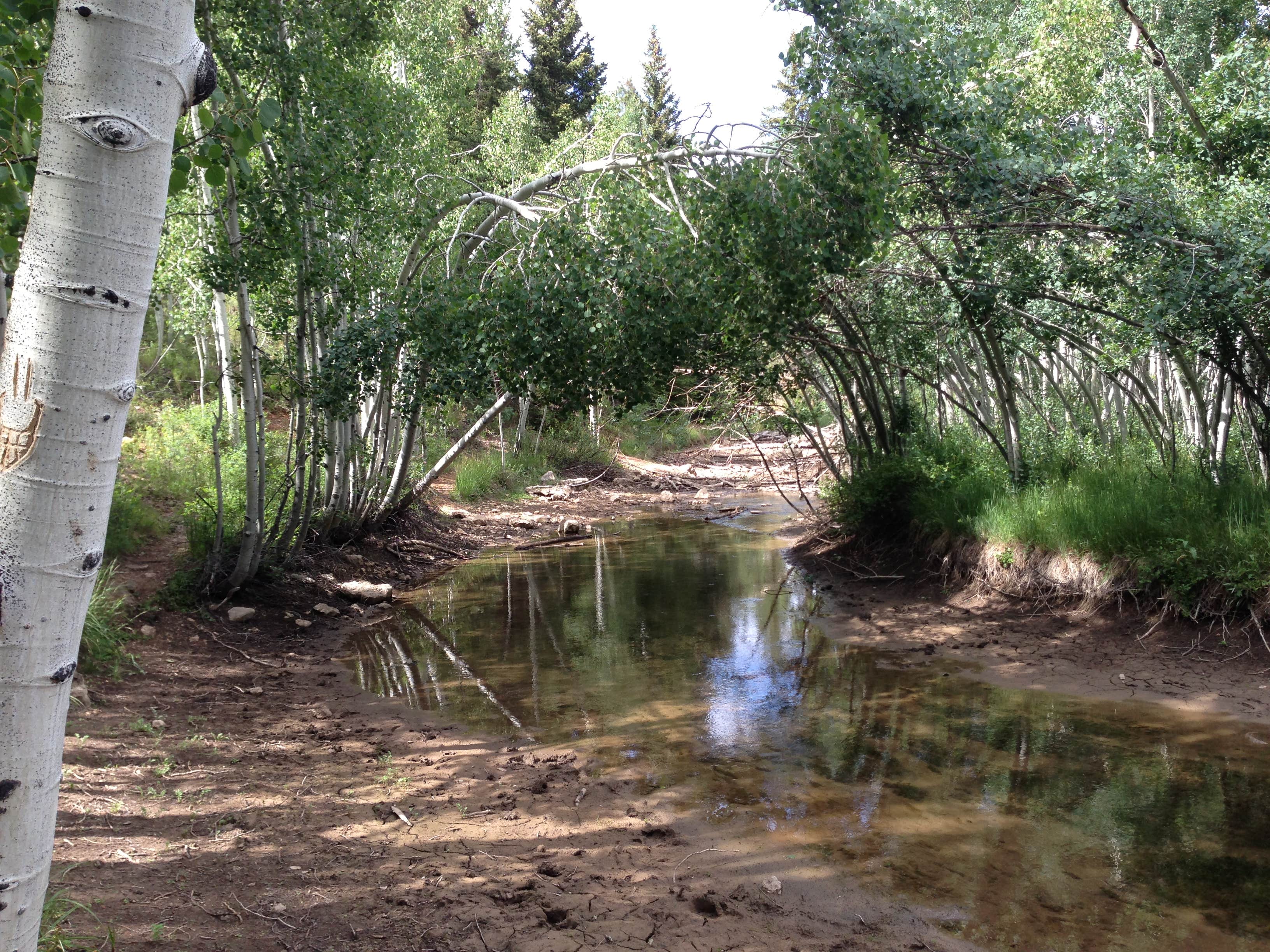 Duck Creek The Dyrt