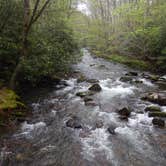 Review photo of Smokemont Campground — Great Smoky Mountains National Park by Tara F., April 28, 2017