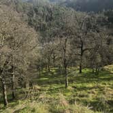 Review photo of Sly Park Recreation Area by Rustin B., April 29, 2017