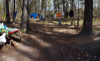 ERolf P.'s photo of tent camping at William O'Brien State Park Campground near South Saint Paul, MN