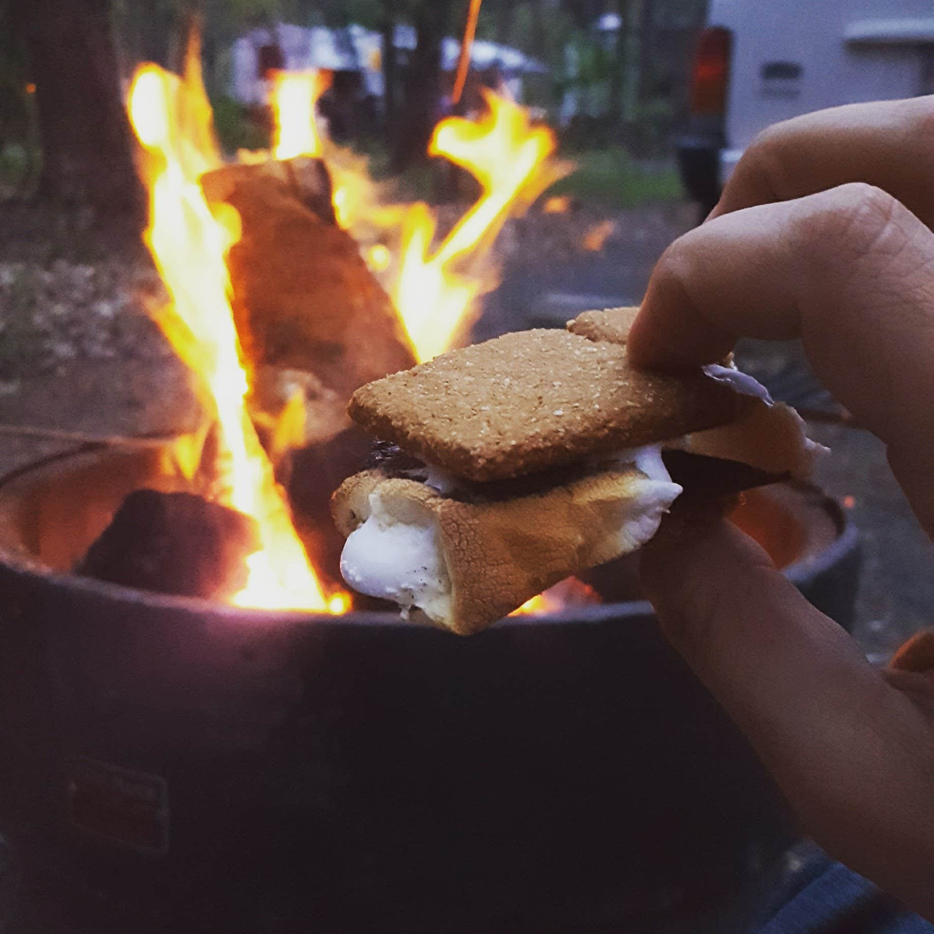 Camper-submitted photo at William O'Brien State Park Campground near South Saint Paul, MN
