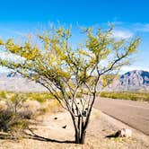 Review photo of Rio Grande Village RV Campground — Big Bend National Park by Zach M., May 1, 2017