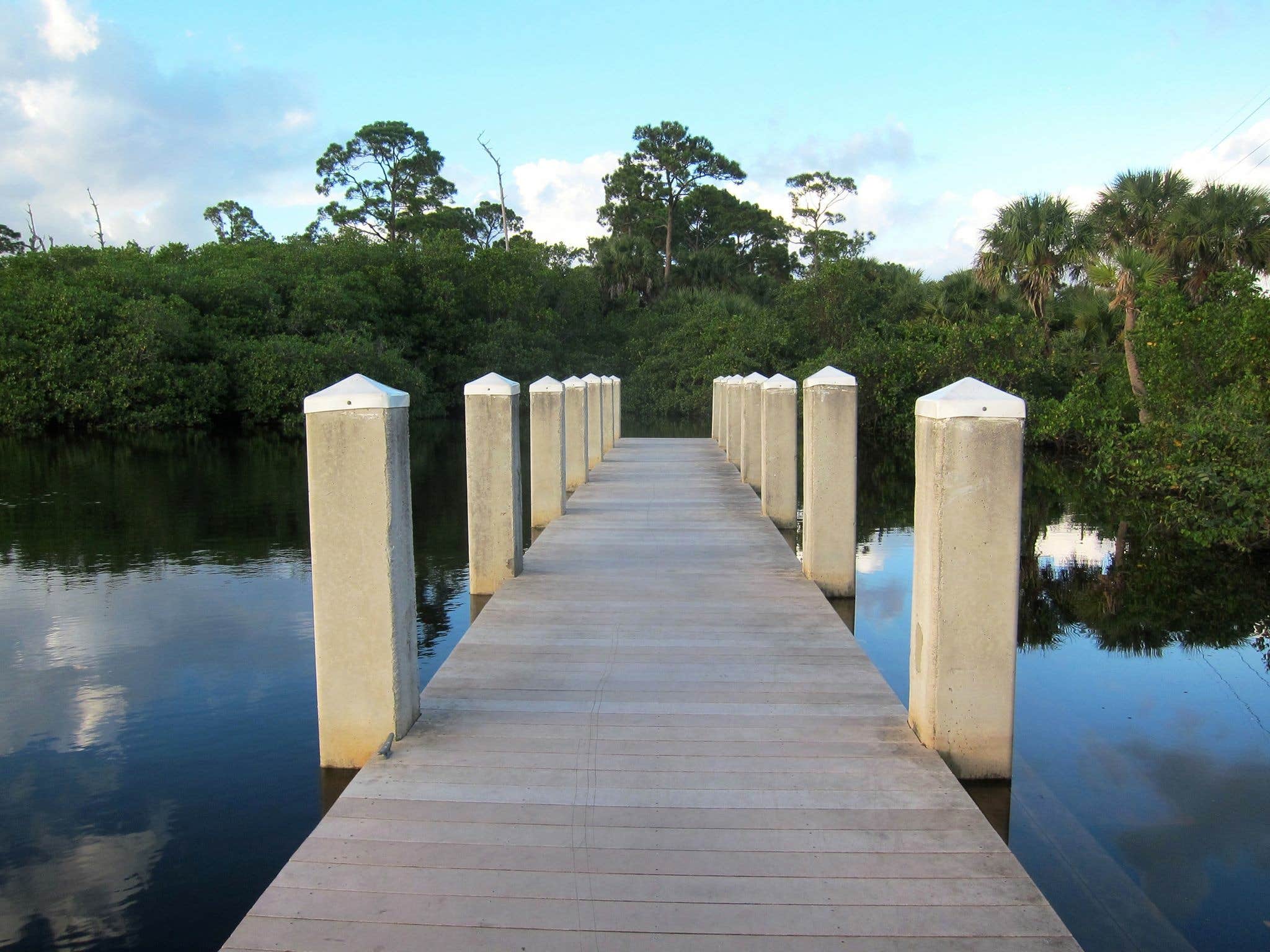 Camper submitted image from Pine Grove Campground — Jonathan Dickinson State Park - 3