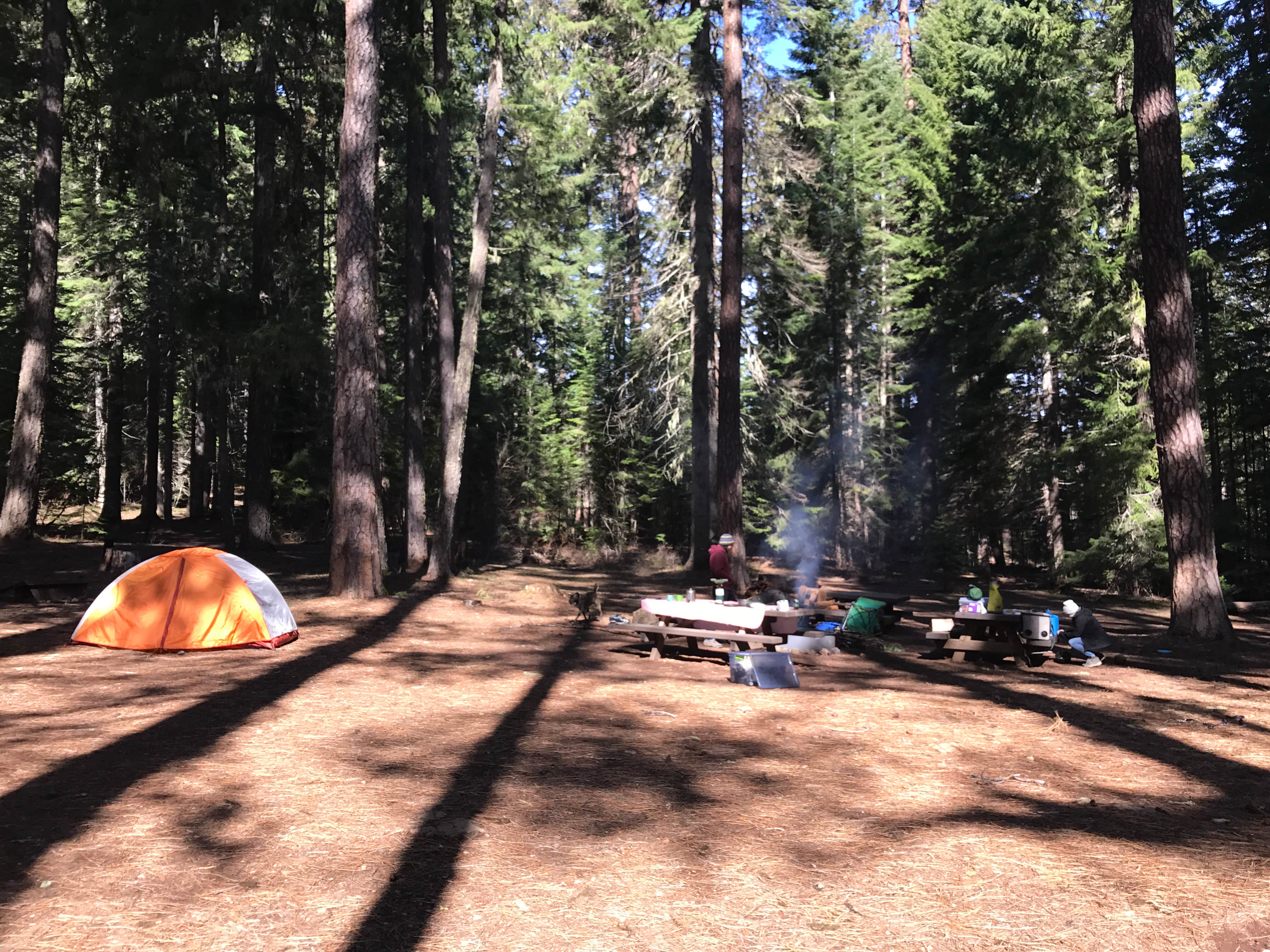 Camper submitted image from Bear Springs Campground - 2