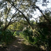 Review photo of Kissimmee Prairie Preserve State Park Campground by Anjuli W., May 1, 2017