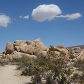 Review photo of Belle Campground — Joshua Tree National Park by kevin T., June 17, 2016