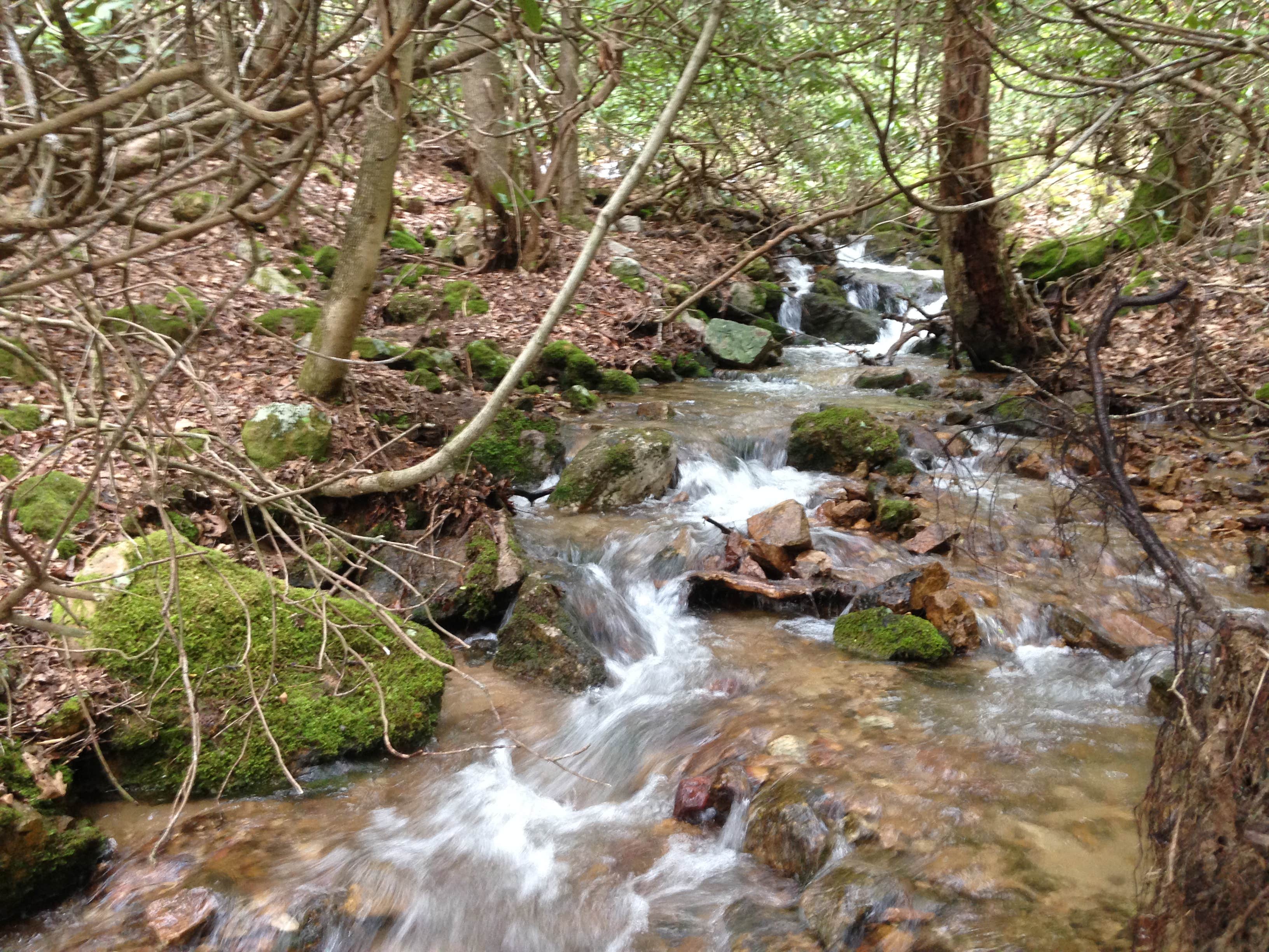 Camper submitted image from R&D Campground - 4