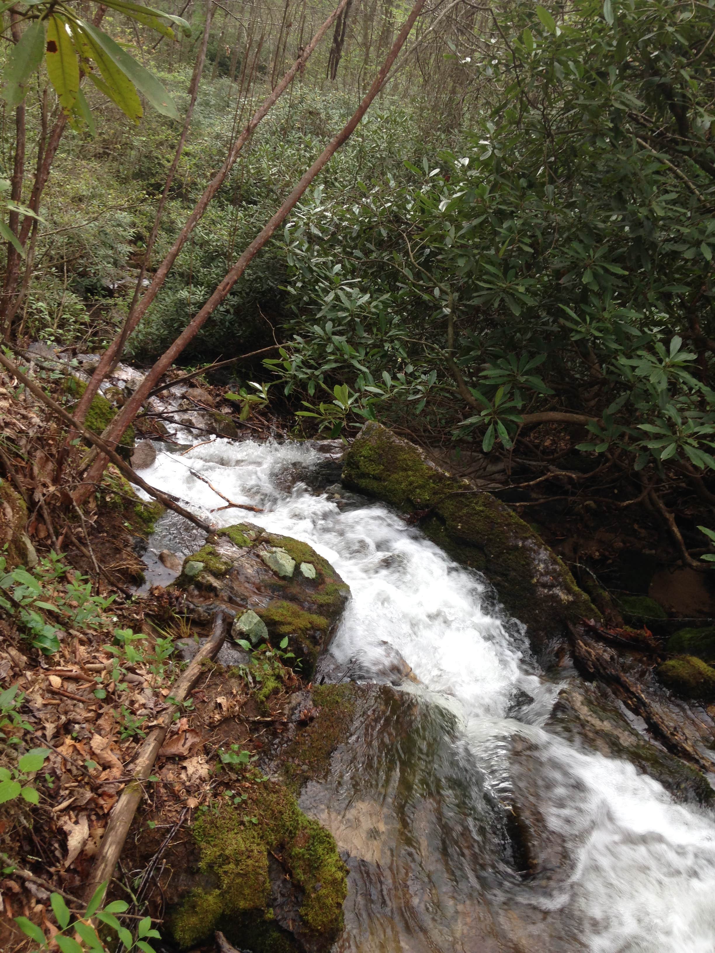 Camper submitted image from R&D Campground - 2