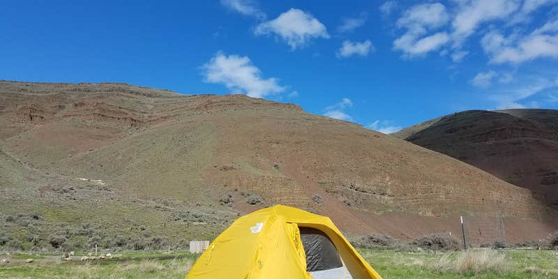 Camper submitted image from Lone Tree Campground — Cottonwood Canyon State Park