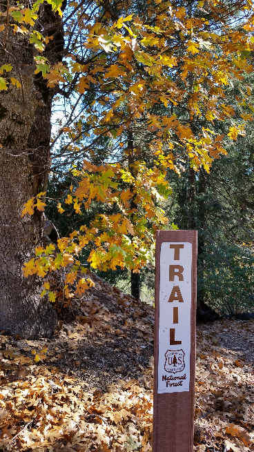 Camper submitted image from Fry Creek Campground - 2