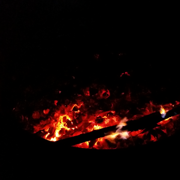 Camper submitted image from Fry Creek Campground - 3