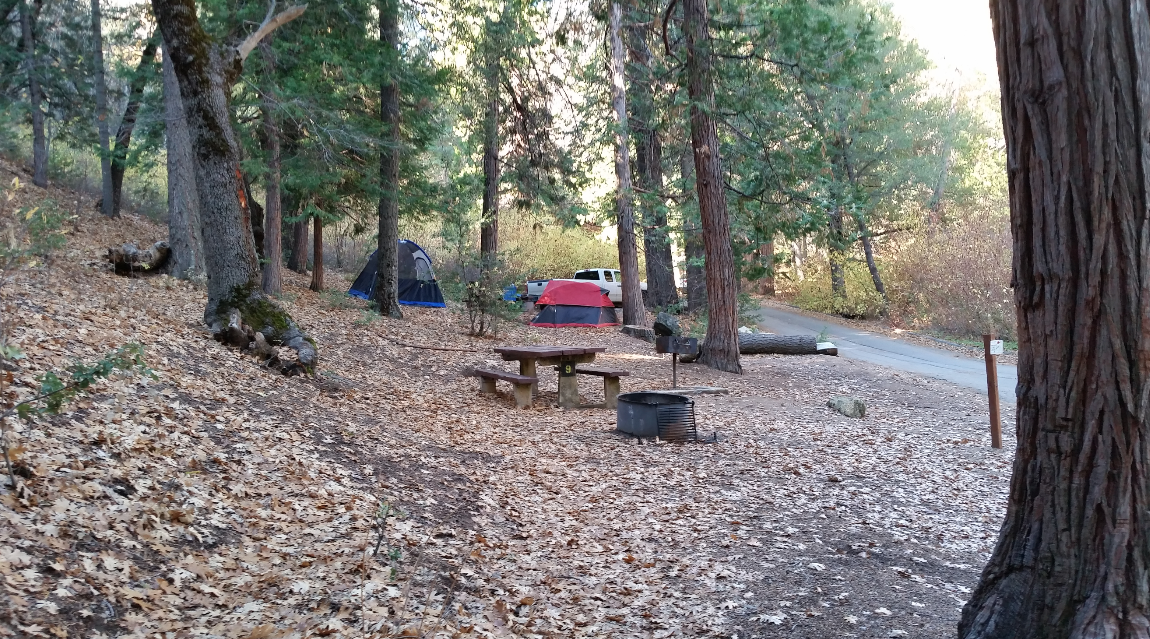 Ryan W.'s photo at Fry Creek Campground near Cleveland National Forest