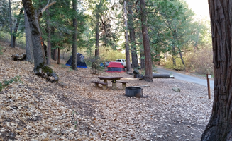 Ryan W.'s photo at Fry Creek Campground near Aguanga, CA