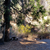 Review photo of Fry Creek Campground by Ryan W., May 2, 2017
