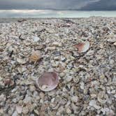 Review photo of Cayo Costa State Park Campground by Aida K., May 2, 2017