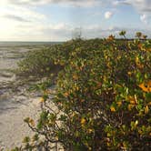 Review photo of Cayo Costa State Park Campground by Aida K., May 2, 2017