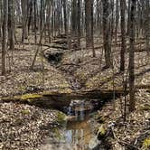Review photo of Sunset Campground — Richard Bong State Recreation Area by Christian V., May 2, 2017