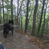 Review photo of Monte Sano State Park Campground by Shelly S., May 2, 2017