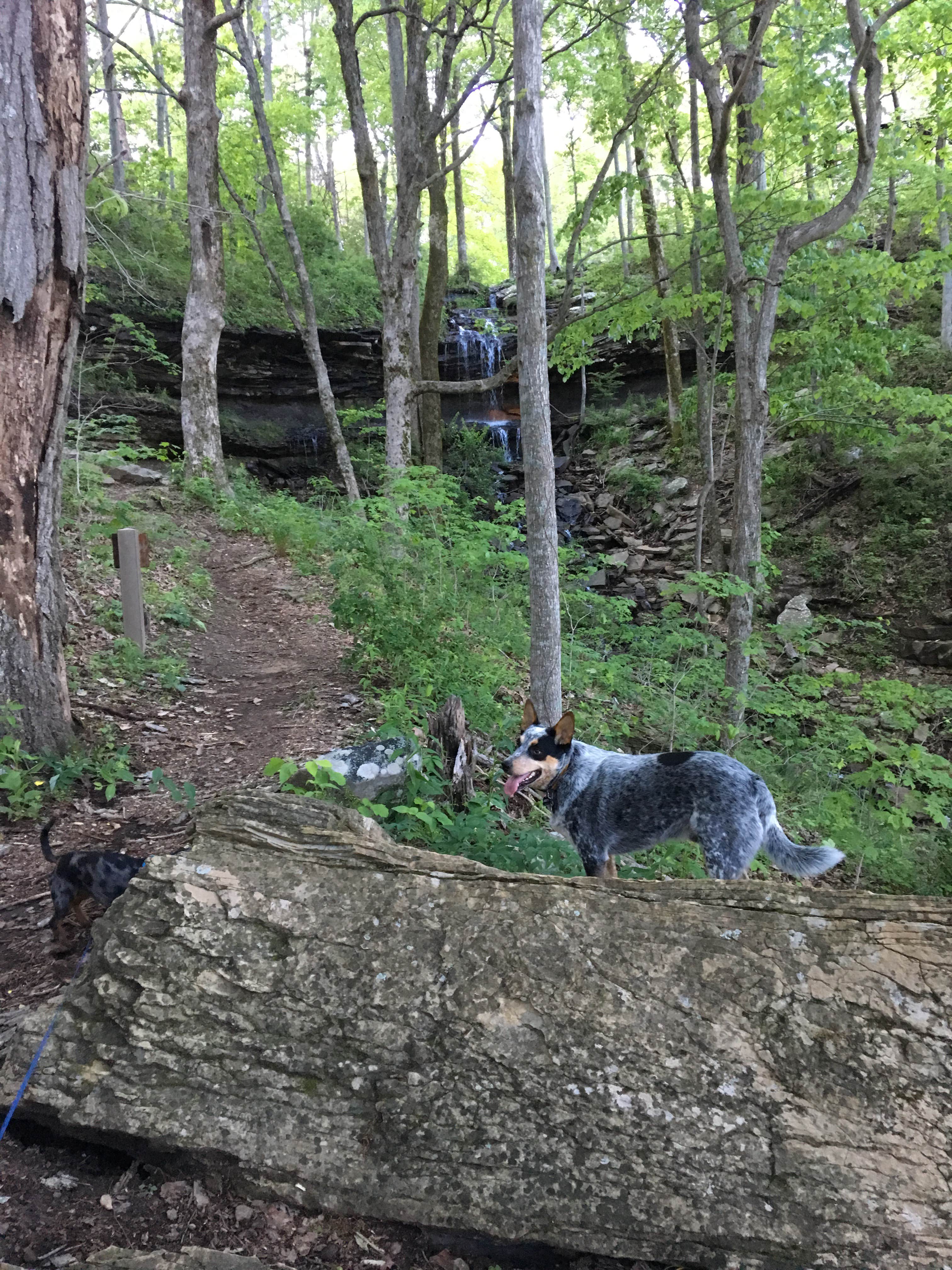 Camper-submitted photo at Monte Sano State Park Campground in Alabama