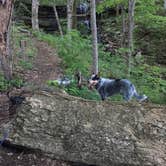 Review photo of Monte Sano State Park Campground by Shelly S., May 2, 2017