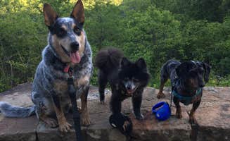 Shelly S.'s photo of camping with pets at Monte Sano State Park Campground near Huntsville, AL