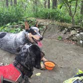 Review photo of Monte Sano State Park Campground by Shelly S., May 2, 2017