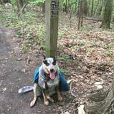 Review photo of Monte Sano State Park Campground by Shelly S., May 2, 2017