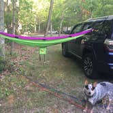 Review photo of Monte Sano State Park Campground by Shelly S., May 2, 2017