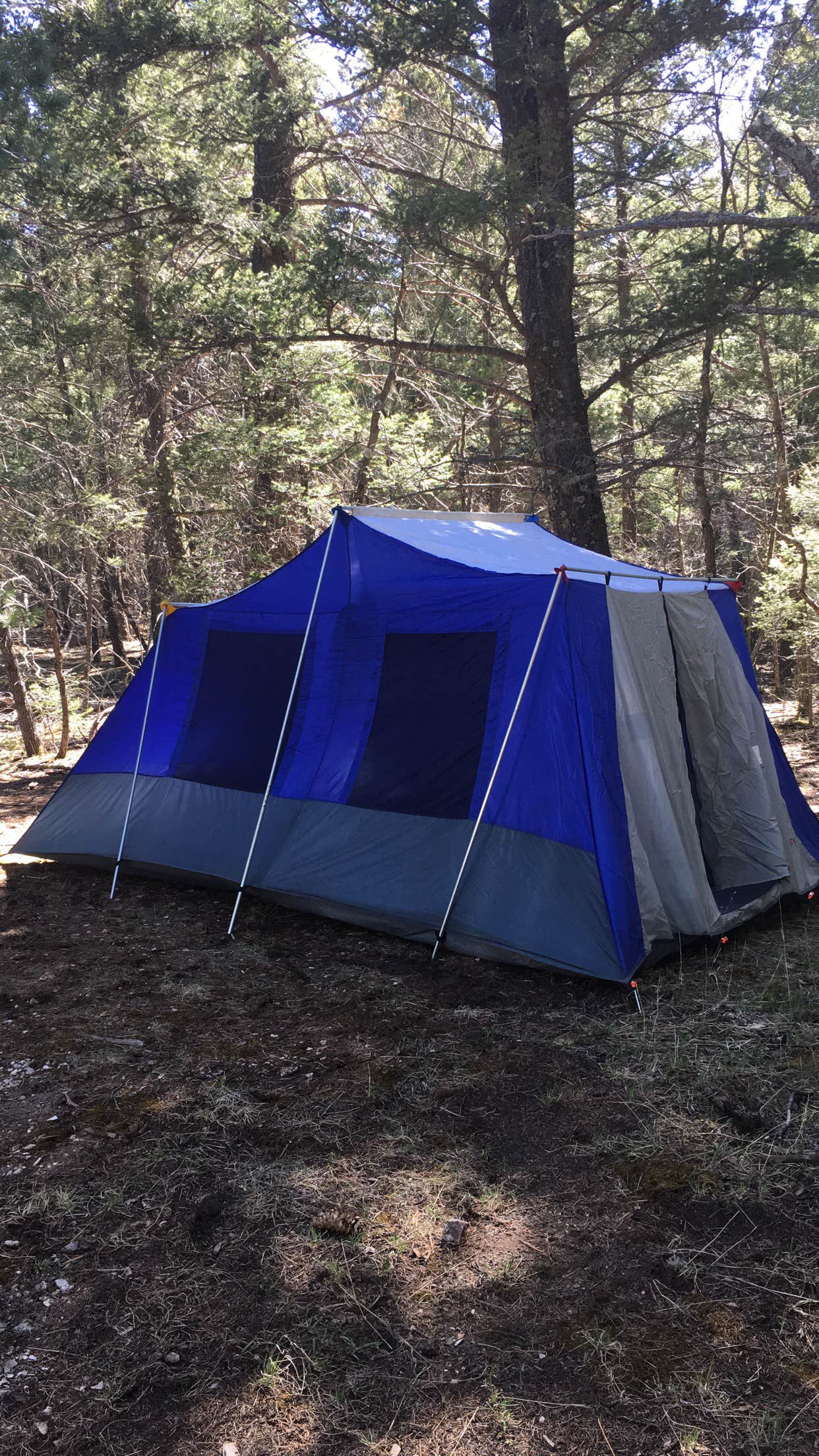 Camper submitted image from Lower Karr Canyon Campground - 3