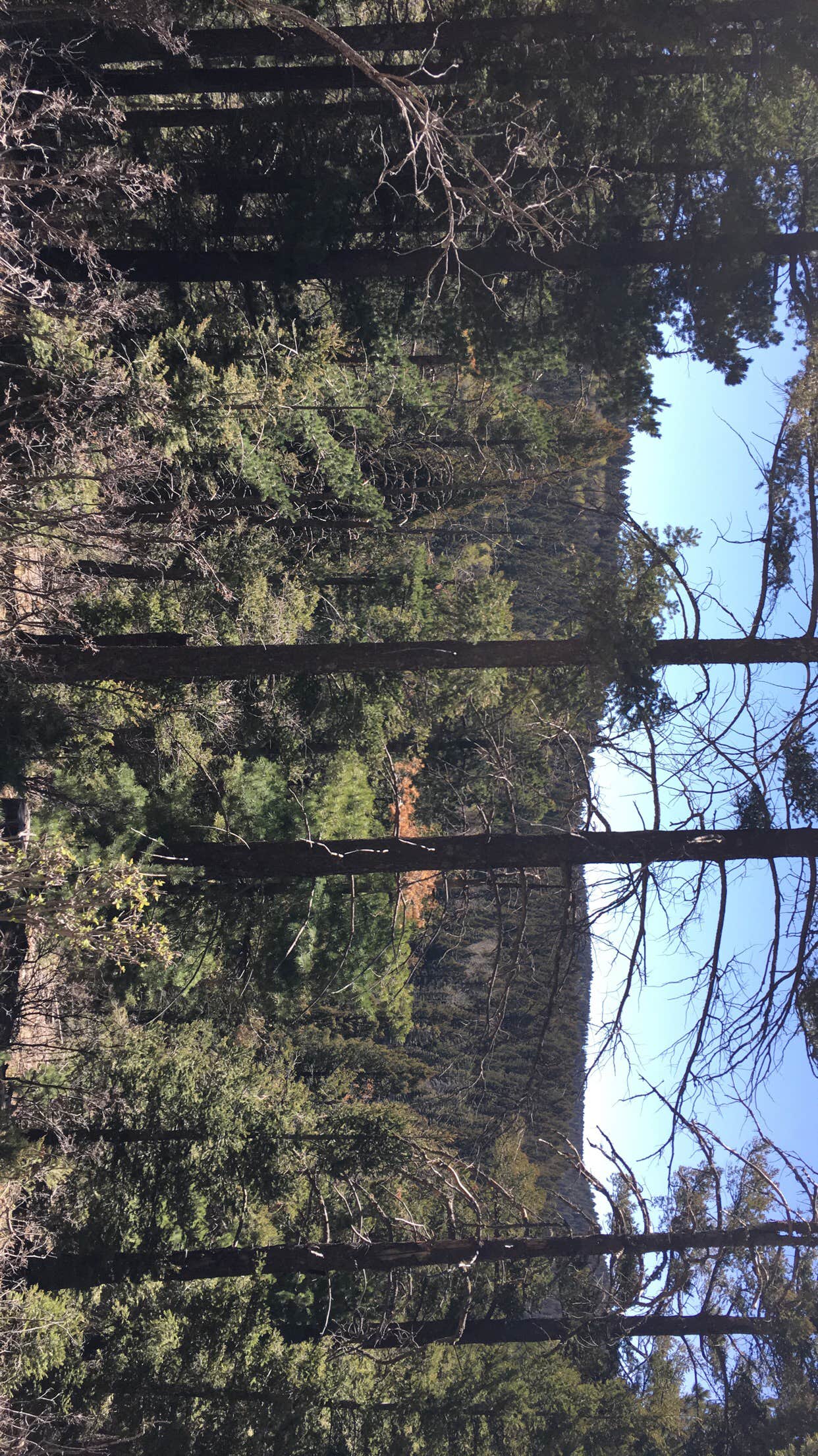 Camper submitted image from Lower Karr Canyon Campground - 2