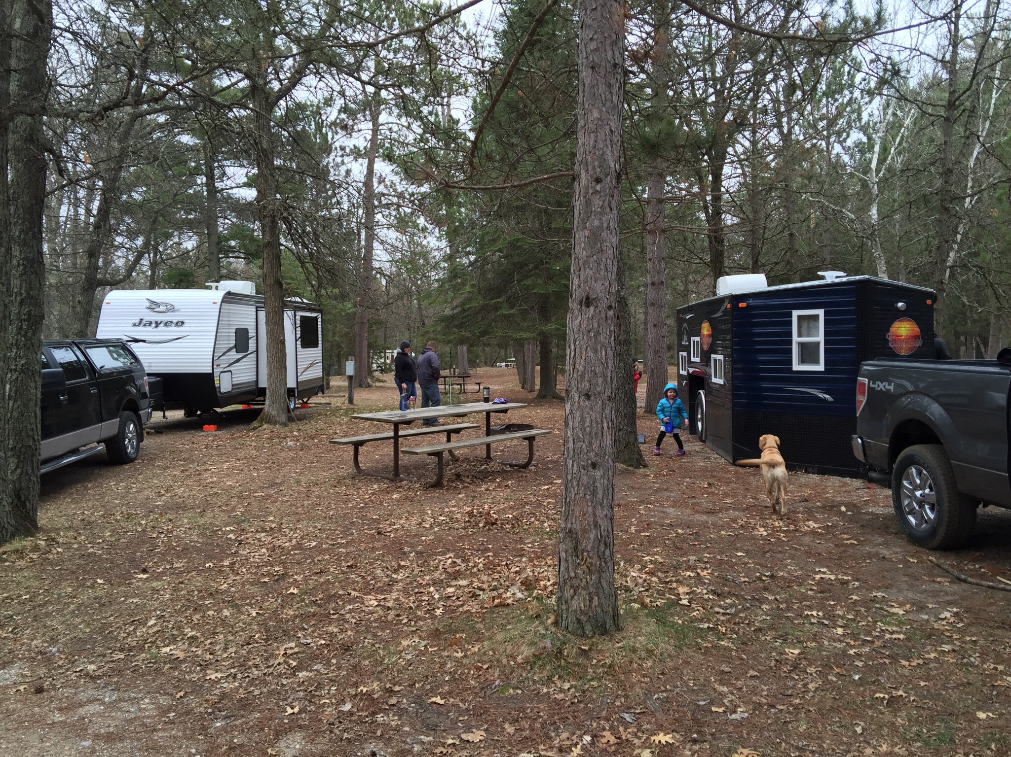 Camper submitted image from Lake Bemidji State Park Campground - 5
