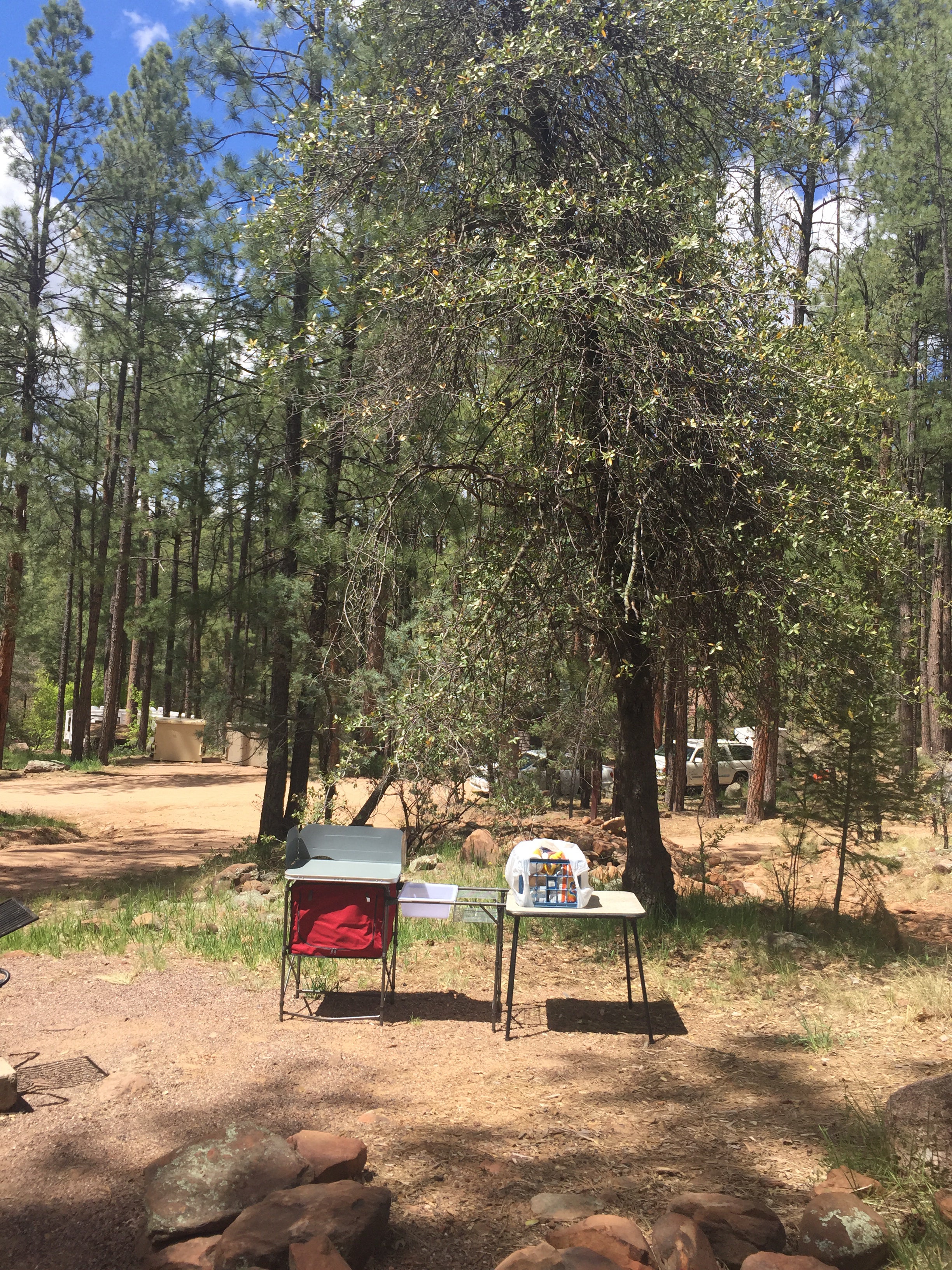 Camper submitted image from Upper Tonto Creek Campground - 4