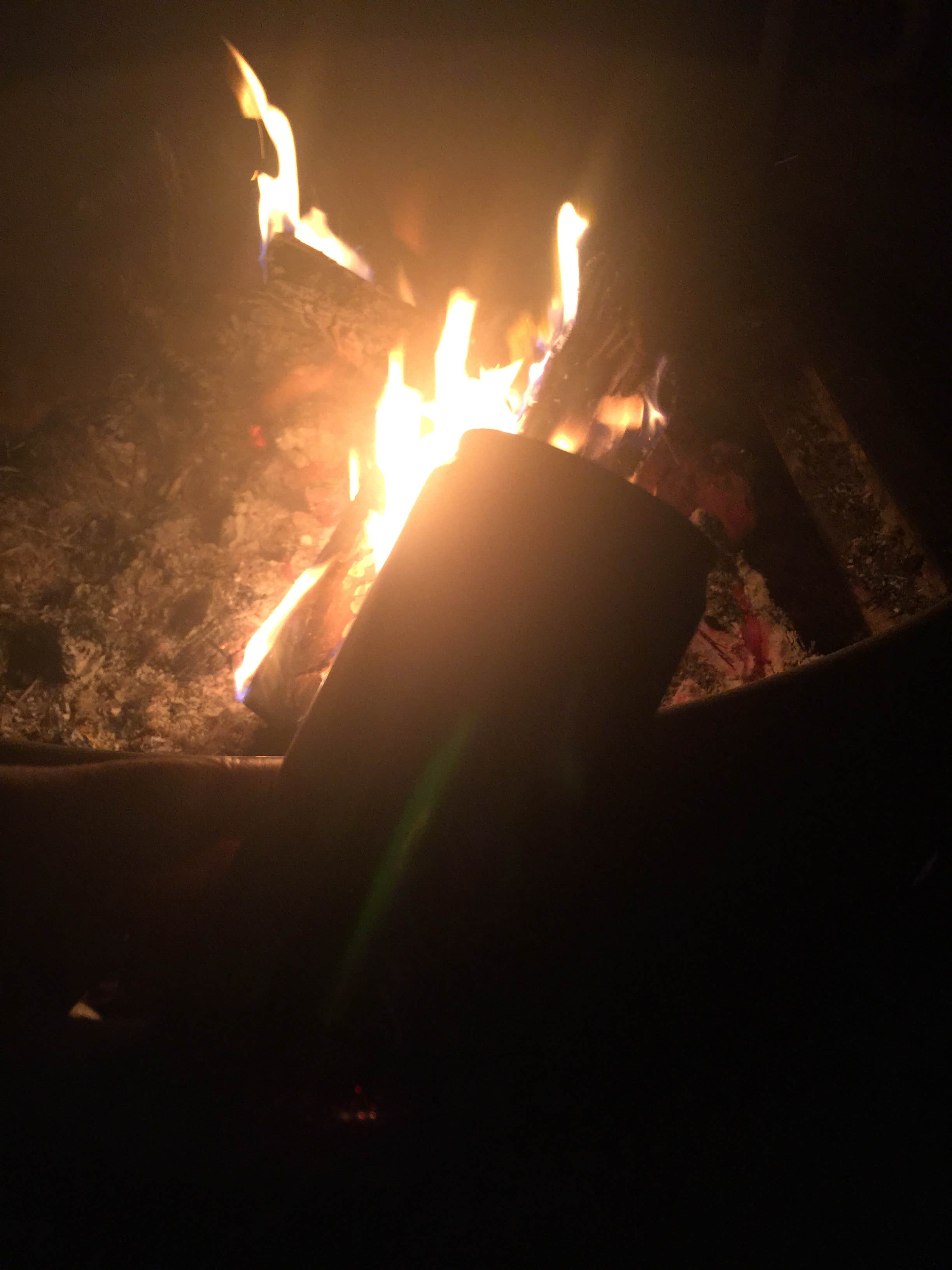 Camper submitted image from Upper Tonto Creek — Tonto National Forest - 3