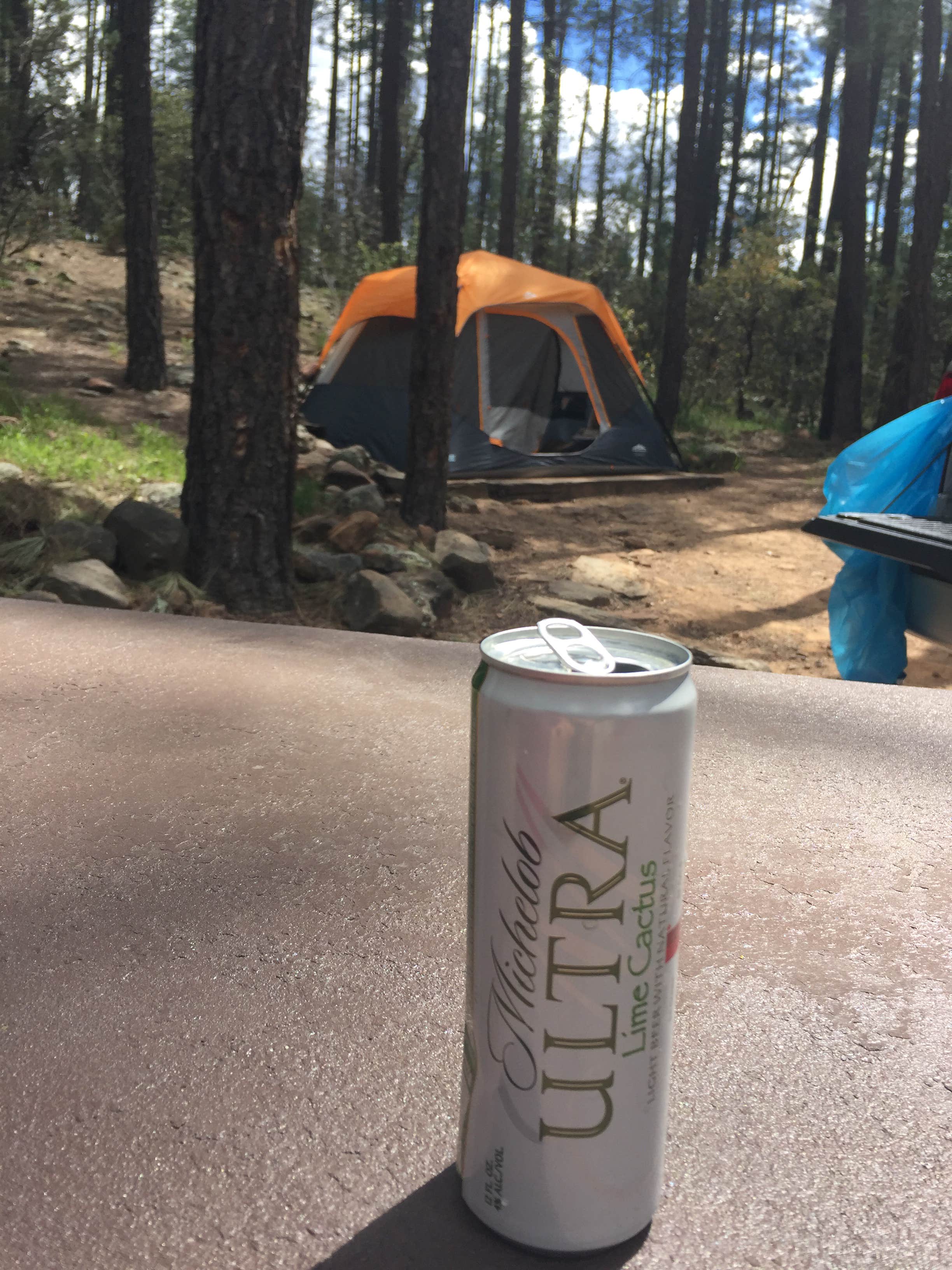 Liza C.'s photo at Upper Tonto Creek — Tonto National Forest near Sun Valley, AZ