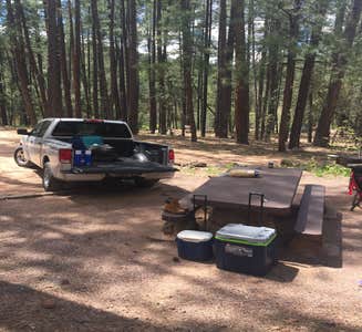 Camper-submitted photo from Upper Tonto Creek Campground