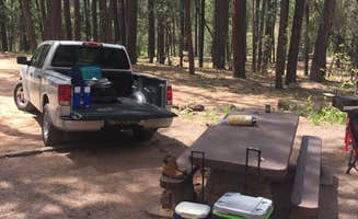 Liza C.'s photo at Upper Tonto Creek — Tonto National Forest near Sun Valley, AZ