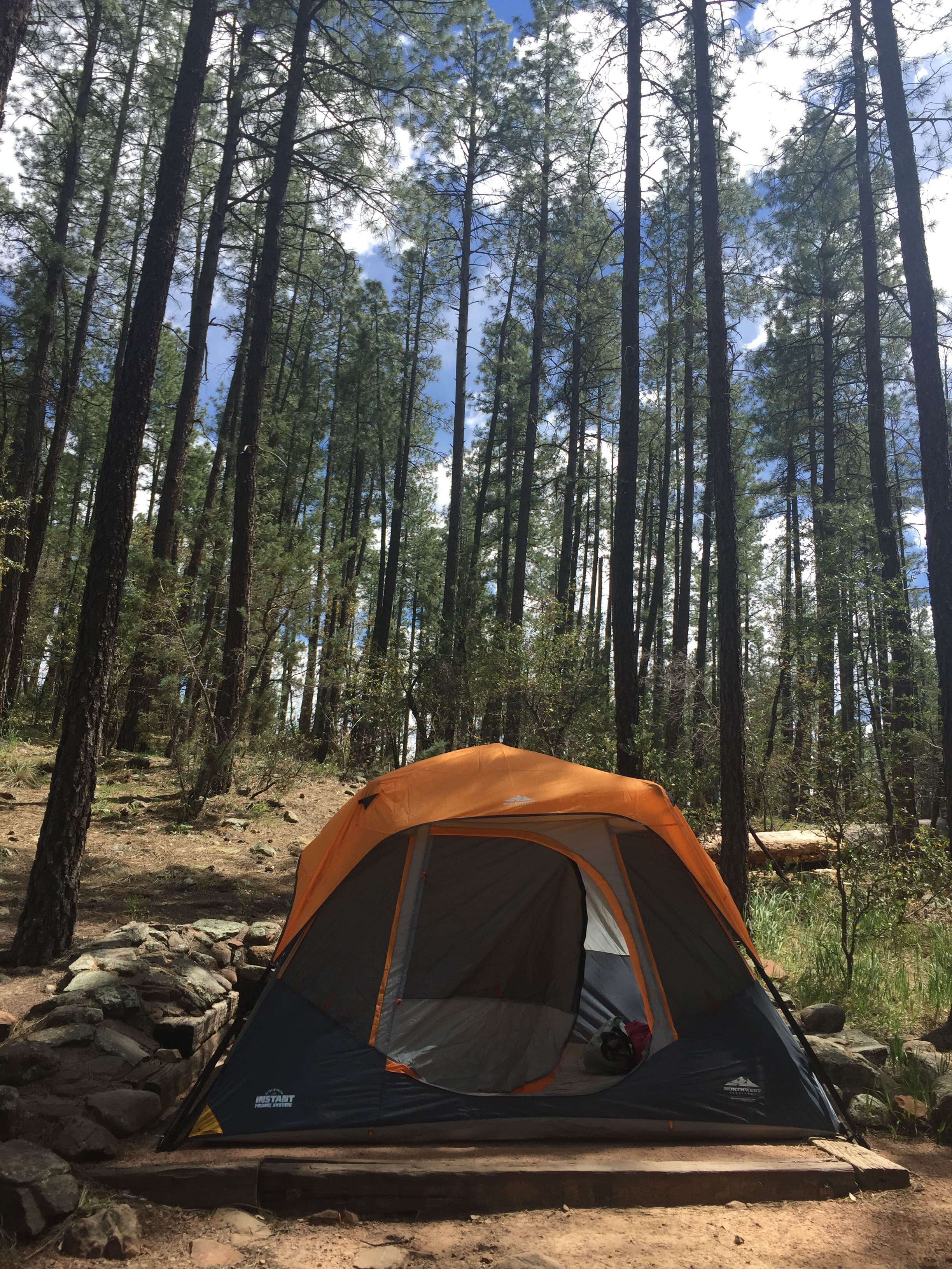 Liza C.'s photo at Upper Tonto Creek — Tonto National Forest near Kohls Ranch, AZ