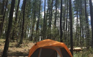 Liza C.'s photo at Upper Tonto Creek — Tonto National Forest near Sun Valley, AZ
