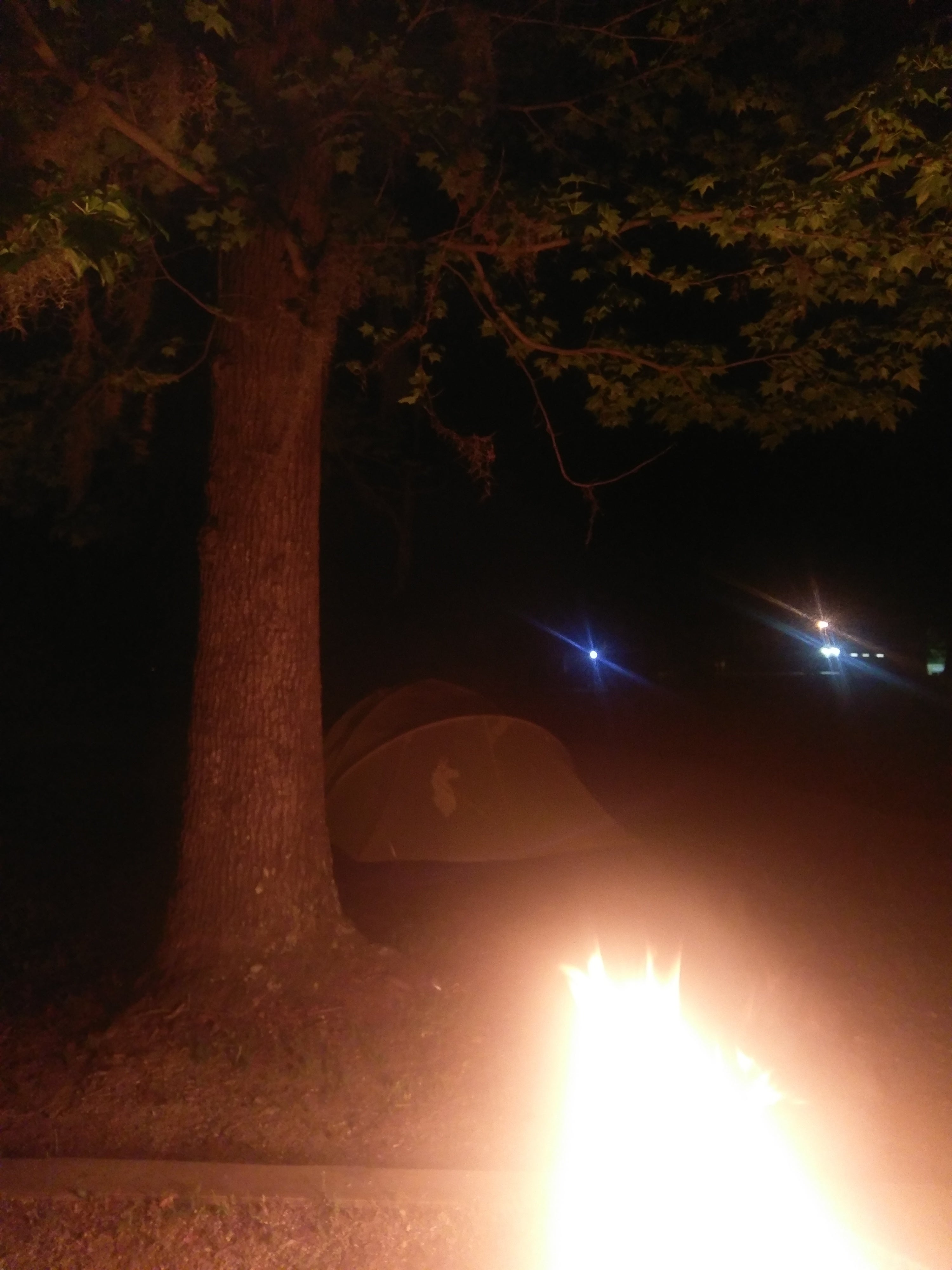 Camper submitted image from Eastbank - 2